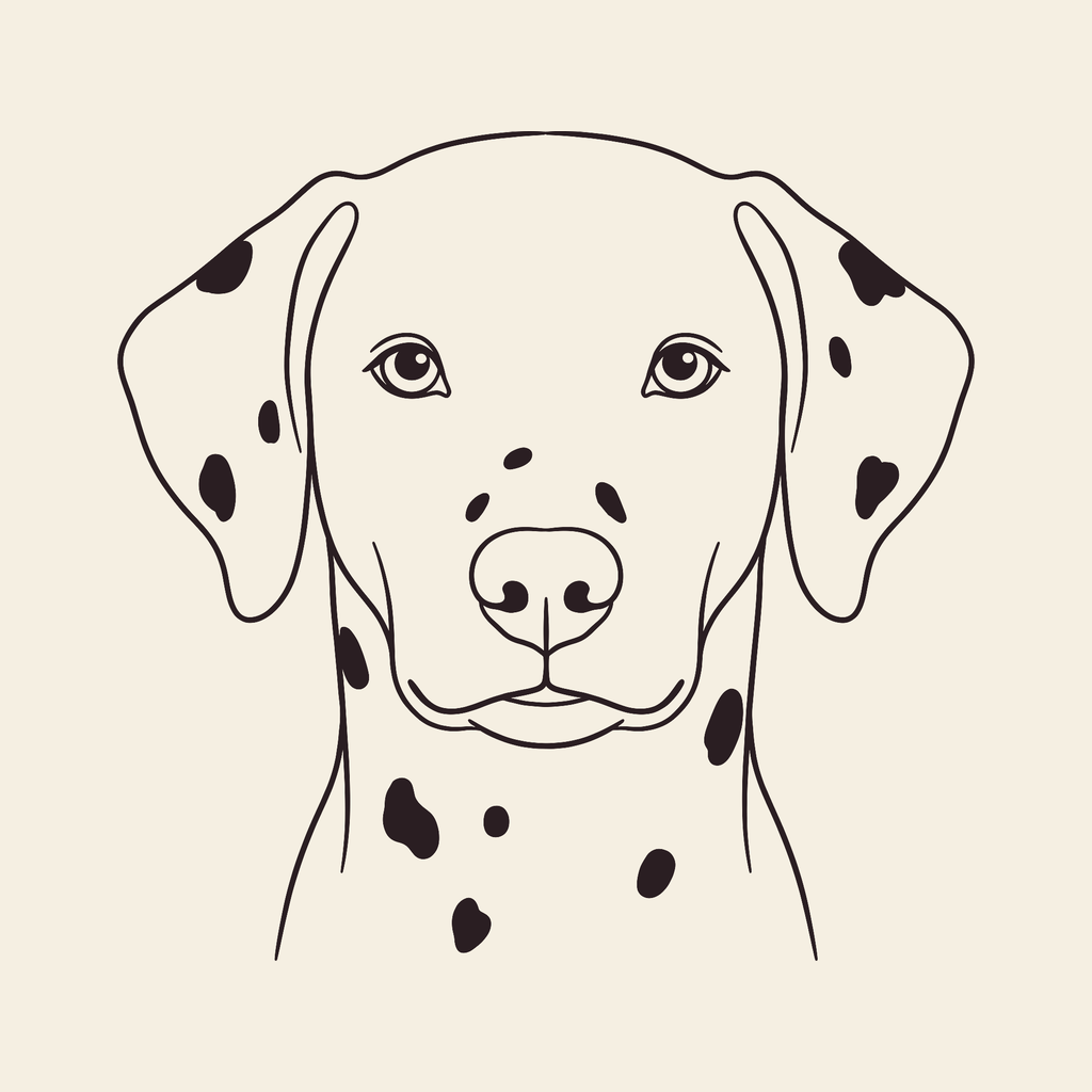 Dalmatian